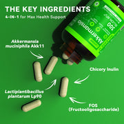 Akkermansia Probiotics: Enhancing Gut Barrier, Metabolic Health & Weight Management