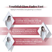 L-Ergothioneine PQQ Beauty Capsules